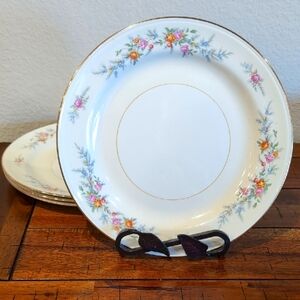 4 Vintage Homer Laughlin Eggshell Nautilus Ferndale China Dinner Plates 10"
